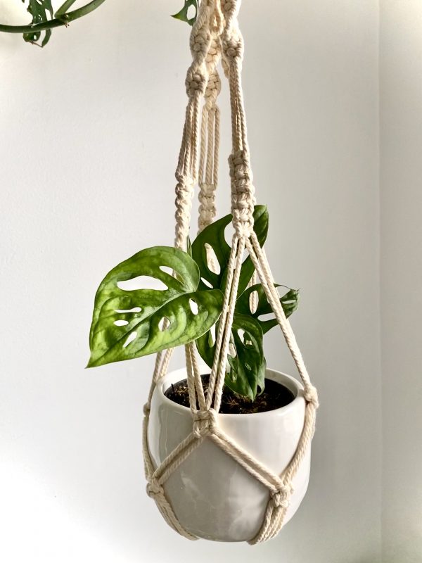 Macrame Hanging pot